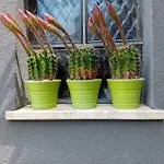 Zara Apartment